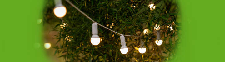 lichterkette kategorieeinstiegsbanner